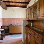 Rent 2 bedroom apartment of 45 m² in Bolsena