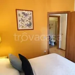 Rent 2 bedroom apartment of 50 m² in Pomezia