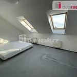 Rent 4 bedroom apartment of 100 m² in Prague