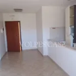 Rent 2 bedroom apartment of 45 m² in Mentana