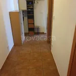 Rent 2 bedroom apartment of 70 m² in Cologno Monzese