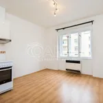 Rent 1 bedroom apartment in Capital City of Prague