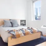 Rent 1 bedroom apartment in Manhattan