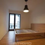 Rent 2 bedroom apartment in Brno