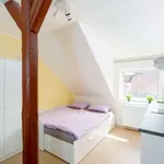 Studio of 18 m² in prague