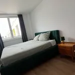 Miete 1 Schlafzimmer wohnung von 65 m² in Berlin