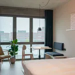 Huur 1 slaapkamer appartement van 20 m² in Amsterdam