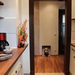 Rent 3 bedroom apartment of 75 m² in Leipzig