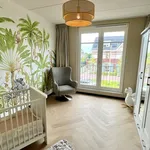 Rent 6 bedroom house of 214 m² in De Uithof