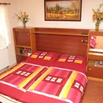 Rent 1 bedroom house of 364 m² in Brno