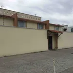 Rent 1 bedroom apartment of 300 m² in Edo. Mexico