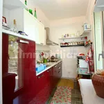 Rent 3 bedroom apartment of 60 m² in Pisa