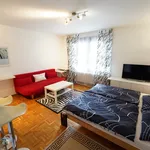 Rent 1 bedroom apartment in stuttgart