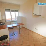 Rent 1 bedroom apartment of 35 m² in Novara