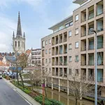  appartement avec 1 chambre(s) en location à Leuven