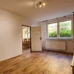 Rent 2 bedroom apartment of 58 m² in Brno