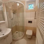 Rent 1 bedroom apartment in Železná Ruda