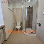 Rent 1 bedroom apartment of 29 m² in Havířov