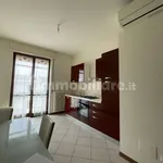 Rent 2 bedroom apartment of 52 m² in Novara