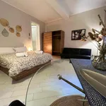 Rent 1 bedroom apartment of 45 m² in Bologna