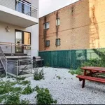 Rent 1 bedroom apartment in Williamsburg