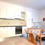 Rent 2 bedroom apartment of 50 m² in Sarnonico