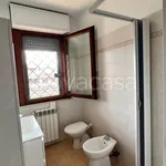 Rent 3 bedroom apartment of 80 m² in Pomezia