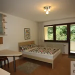 Rent 1 bedroom apartment of 31 m² in Erlangen