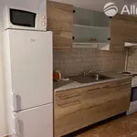 Rent 1 bedroom apartment in Brno