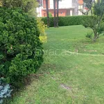 Rent 3 bedroom apartment of 40 m² in Cuneo