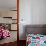 Rent 2 bedroom apartment of 55 m² in Milano