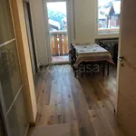 Rent 3 bedroom apartment of 50 m² in Selva di Val Gardena