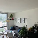 Rent 1 bedroom apartment in Brooklyn