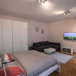 Rent 3 bedroom apartment of 40 m² in Wien