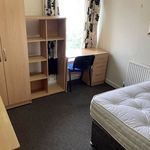 Rent 4 bedroom flat in Wales