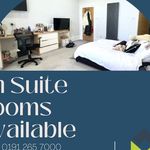 Rent a room in North East England