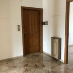 Rent 6 bedroom apartment of 165 m² in Palermo