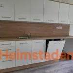 Rent 4 bedroom apartment of 69 m² in Trhový Štěpánov