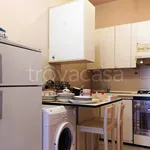 Rent 2 bedroom apartment of 40 m² in Novara