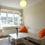 Rent 2 bedroom apartment of 44 m² in Praha