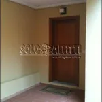 Rent 3 bedroom apartment of 75 m² in Impruneta