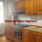 Rent 3 bedroom apartment of 100 m² in Velletri