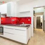 Rent 1 bedroom apartment in Praha