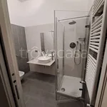 Rent 2 bedroom apartment of 54 m² in Torino