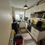 Rent 1 bedroom house in Sheffield