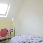 Rent a room of 200 m² in brussels