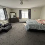 Rent 4 bedroom house in Palmerston North