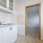 Rent 1 bedroom apartment in Ostrava