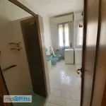 Rent 3 bedroom apartment of 75 m² in Bologna