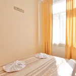 Rent 1 bedroom apartment of 43 m² in Prague